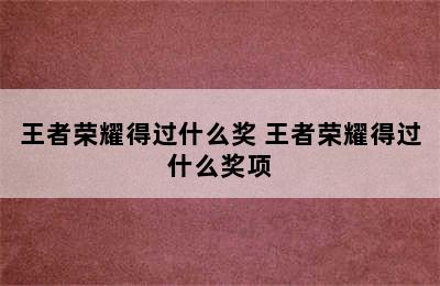 王者荣耀得过什么奖 王者荣耀得过什么奖项